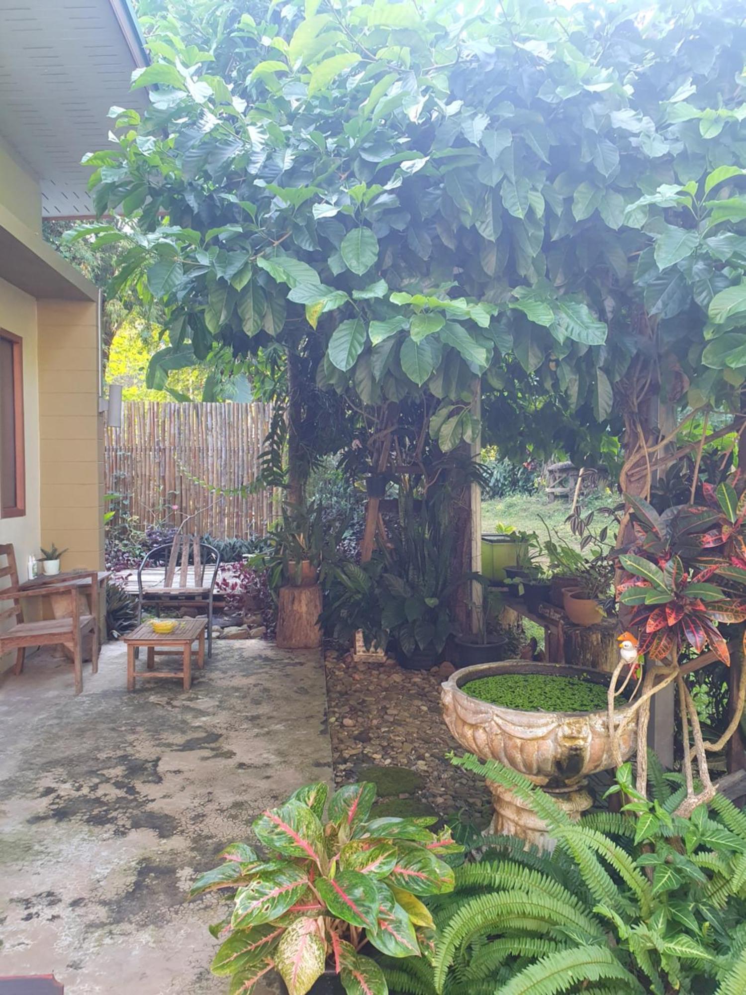 Mind'S Homestay มายด์โฮมสเตย์ Kampong Huaibu Экстерьер фото