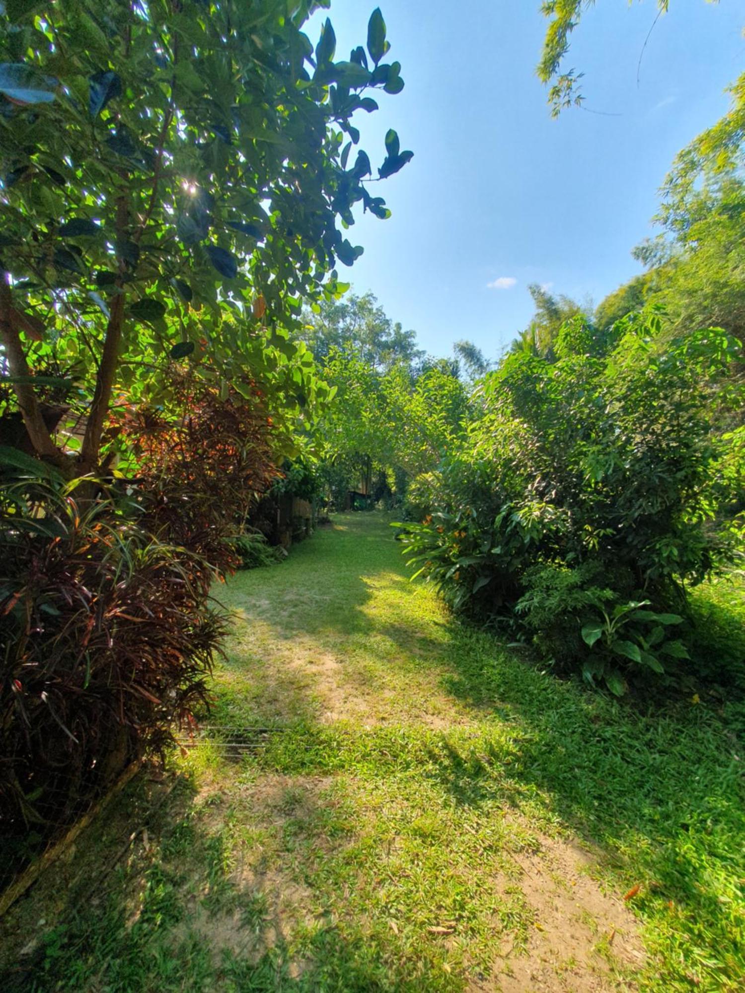 Mind'S Homestay มายด์โฮมสเตย์ Kampong Huaibu Экстерьер фото